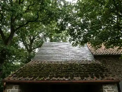 Versant nord ombragé par des arbres, bas de toiture couvert de mousse au-dessus de la gouttière